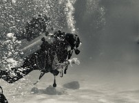 3987eefe339f64ee6ae96633419d7bb8a39fb49ejce6.jpg